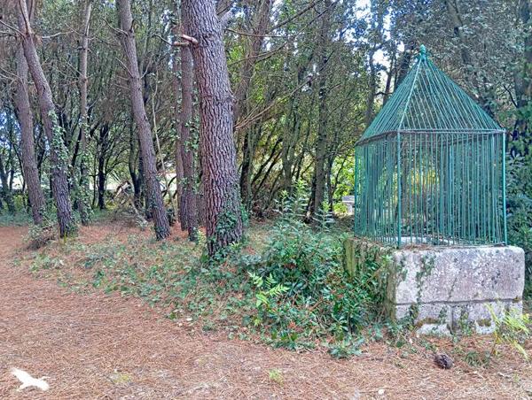 Maison 575 850 € Dolus-d'Oléron 4 p 93 m² DPE F