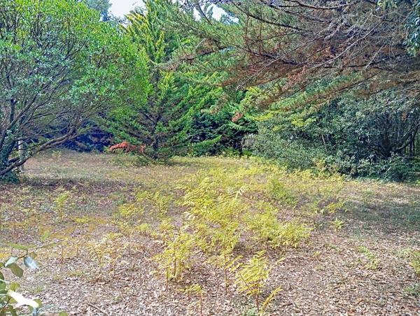Maison 575 850 € Dolus-d'Oléron 4 p 93 m² DPE F