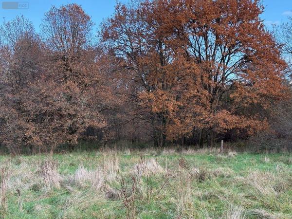 Maison à vendre à Salbris dans le Loir-et-Cher (41300), ref : 044/1985
