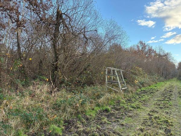 Maison à vendre à Salbris dans le Loir-et-Cher (41300), ref : 044/1985