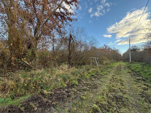 Maison à vendre à Salbris dans le Loir-et-Cher (41300), ref : 044/1985