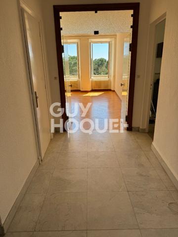 Appartement de charme en centre-ville avec grande terrasse