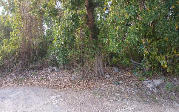 Terrain à vendre    Le Gosier