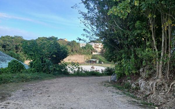 Terrain à vendre    Le Gosier