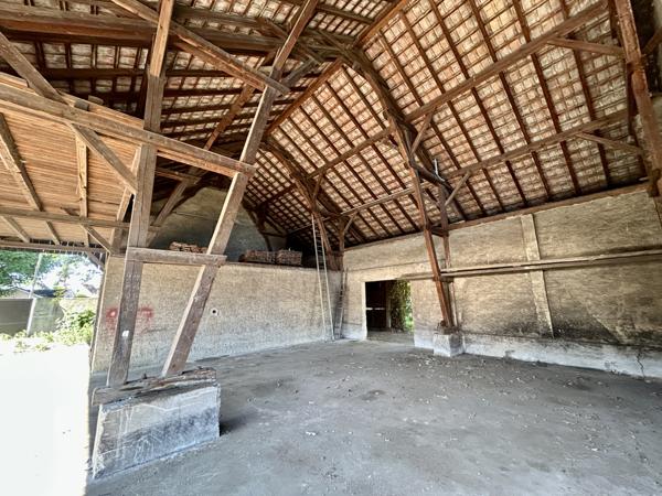 Rouffach (68250) Terrain 9,50A viabilisé, Rouffach, proche centre ville et vignoble à pied