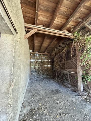 Rouffach (68250) Terrain 9,50A viabilisé, Rouffach, proche centre ville et vignoble à pied