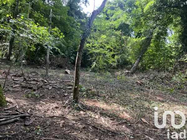 Terrain à vendre 1 208 m² Maidières