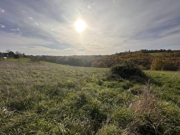 Terrain à vendre |  Saint-Aulaire |  3000 m²