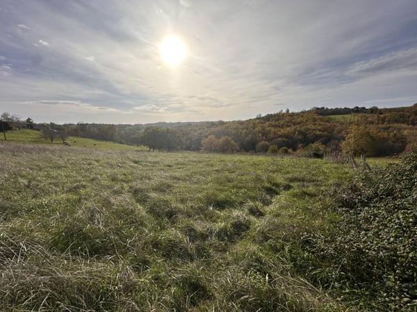 Terrain à vendre |  Saint-Aulaire |  3000 m²