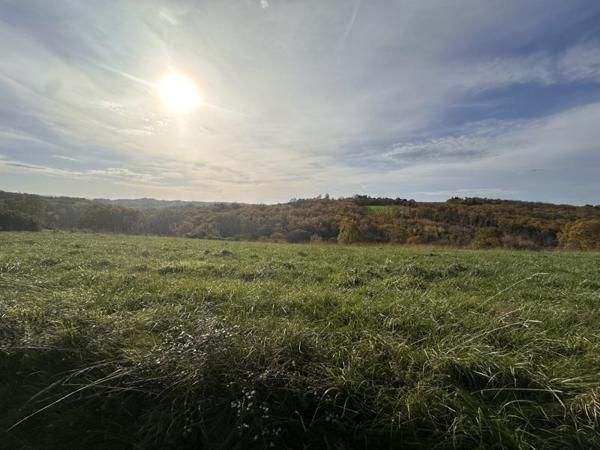 Terrain à vendre |  Saint-Aulaire |  3000 m²