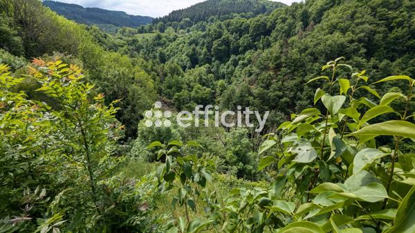 Maison 6 pièces - 130 m² Exclusivité efficity