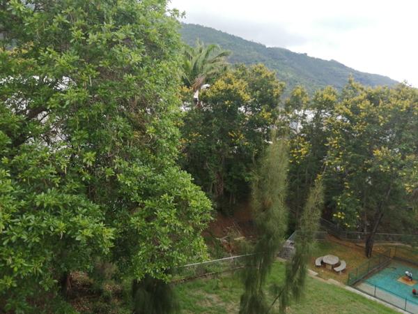 Location Appartement110 m² - 4 Pièces - ST DENIS (97400)