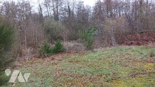 Proche du centre ville, dans un environnement calme et champêtre, agréable pavillon des années 60