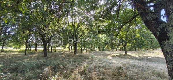 Terrain constructible de 1645 m2 au calme et boisé à Saint-Nauphary, situé à 10 minutes de Montauban, 5 minutes accès rocade, autoroute et proche de toutes commodités (Ecole, boucherie, coiffeur, boulangerie, petit supermarché, pharmacie, etc...) ce terrain vous offrira un environnement calme et champêtre, à visiter sans tarder !

PRIX H.A.I. : 129 375 €

Contactez votre conseiller BSK Immobilier :
PIERLOT Corentin - Agent commercial immatriculé au RSAC d'Albi sous le numéro 521641936.

INFORMATIONS ET VISITES : 0621220824