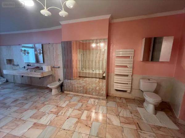 Achat - Immeuble Le Mans 72000 373 m 2
