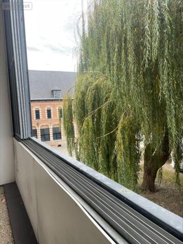 Appartement à vendre à Tourcoing dans le Nord (59200), ref : 12995/445 CENTRE VILLE Appartement à vendre à Tourcoing dans le Nord (59200), ref : 12995/445 CENTRE VILLE