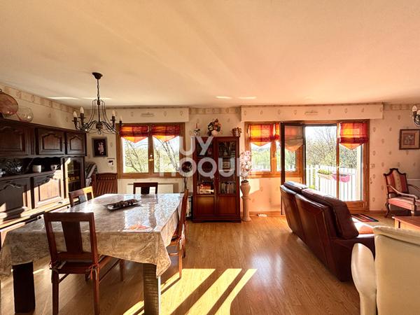 Appartement T3/T4 - vue sur la Sèvre