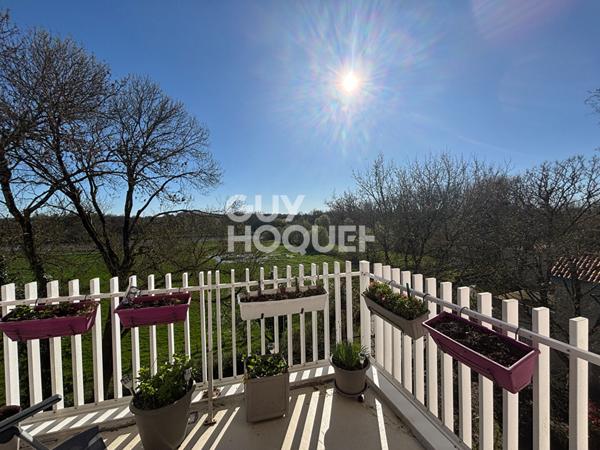 Appartement T3/T4 - vue sur la Sèvre