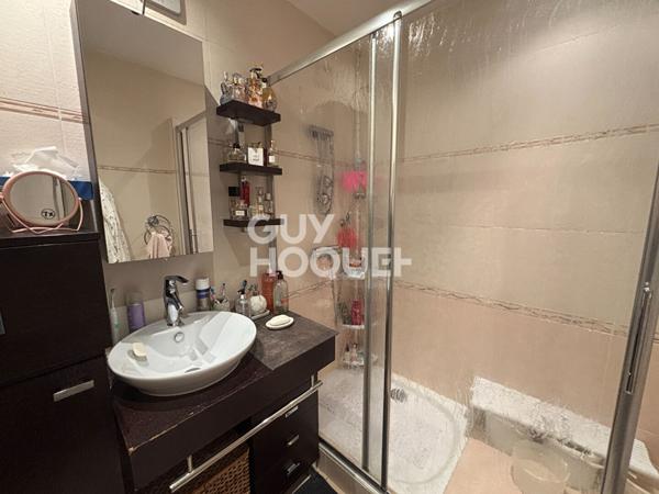 Appartement T3/T4 - vue sur la Sèvre