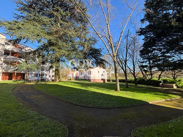 Appartement T3/T4 - vue sur la Sèvre