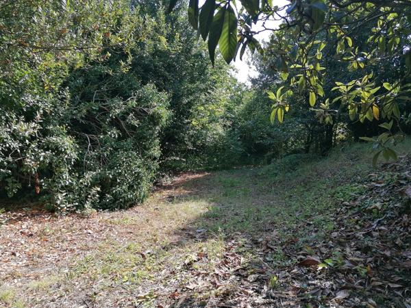 LA ROCHELLE MAISON 6 CHAMBRES