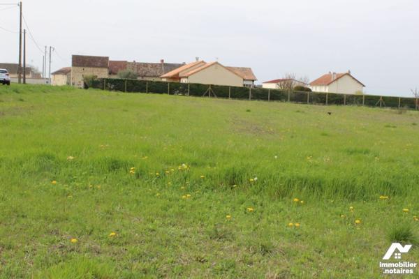 Terrain constructible d'environ 1 300,00 m².