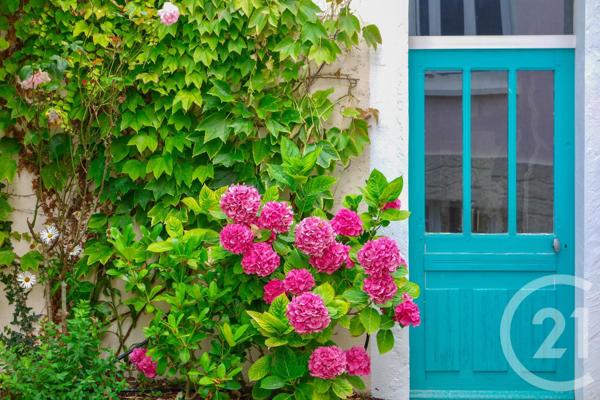 Maison à vendre  7 pièces - 170 m2 PORTBAIL - 50