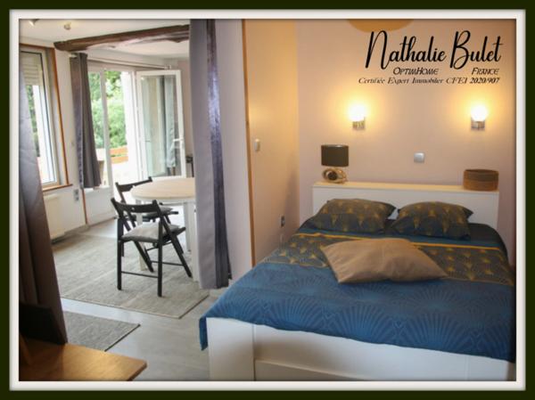 À vendre : Ensemble immobilier intergénérationnel et locatif à SAINT PONS DE THOMIERES (34)