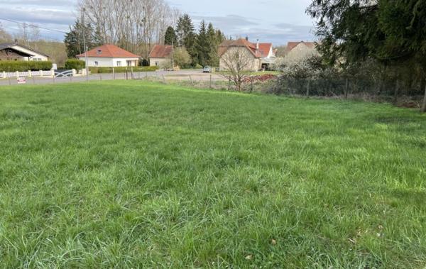 Vente Terrain Puttelange-aux-lacs   