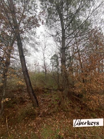 NOTRE DAME DE SANILHAC