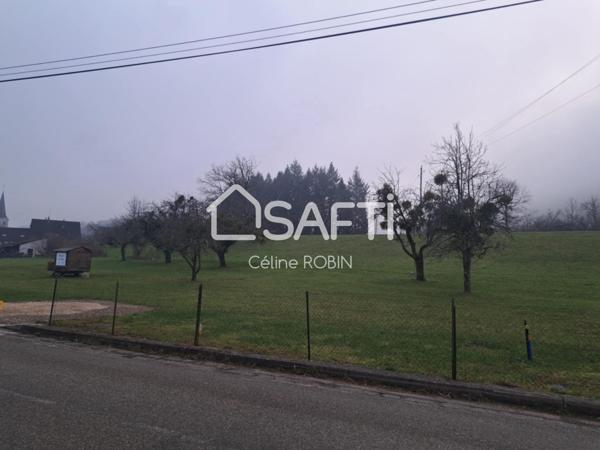 Terrain constructible