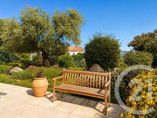 Maison à vendre  7 pièces - 156,50 m 2   CALENZANA  - 202