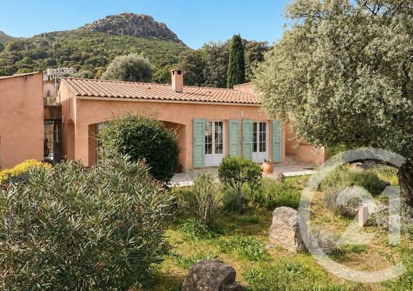 Maison à vendre  7 pièces - 156,50 m 2   CALENZANA  - 202