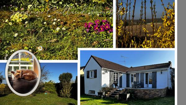 HOUDAN 6mn - Charmante maison des années 70 - plain-pied avec sous-sol total - 4 chambres - terrain 640m² -  325000 Euros HAI