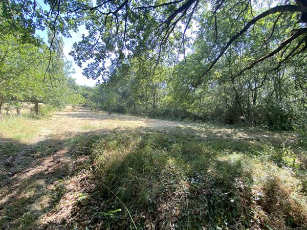 Terrain proche Castelnaudary 2663 m2