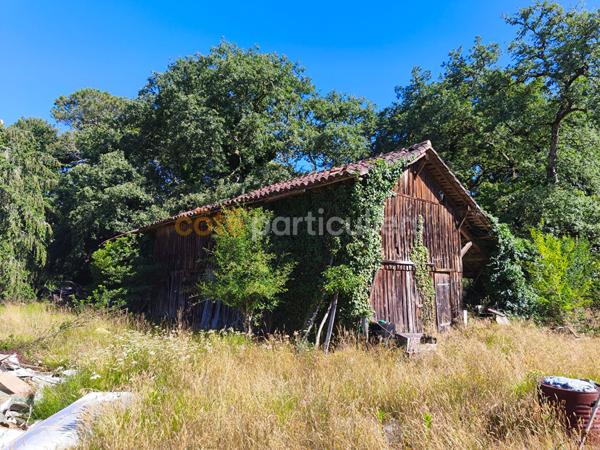 Vente
                Maison113 m² - 5 Pièces -
                    MONT DE MARSAN (40000)