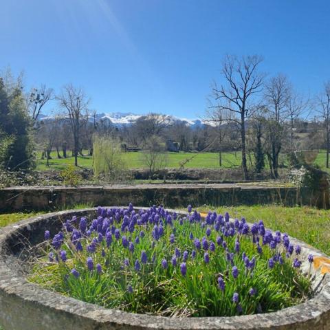 Maison à vendre    9 pièces • 350 m2 Nay