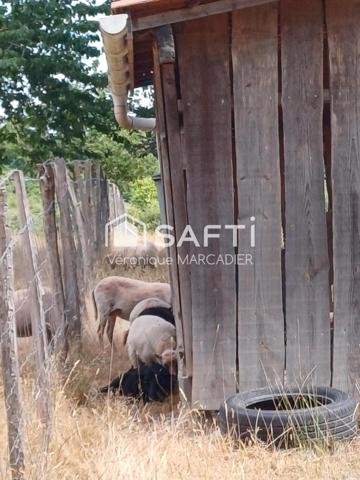 Campagne vue exceptionnelle