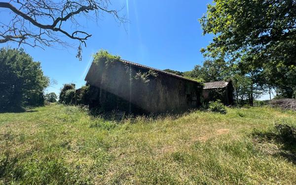 Maison à vendre    5 pièces •  Estang