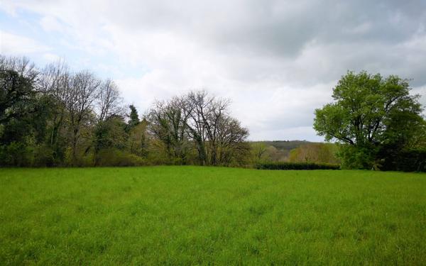 Terrain à vendre    Plaisance