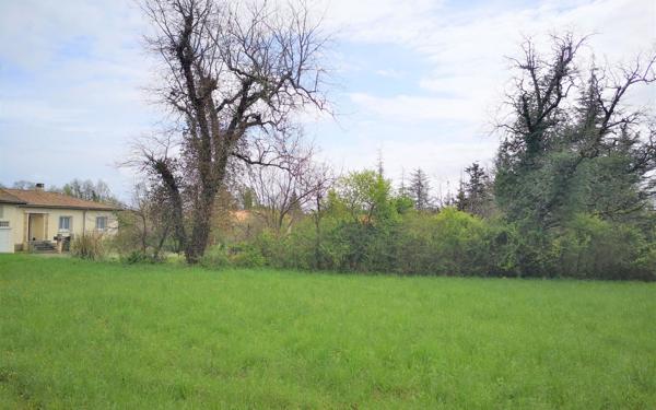 Terrain à vendre    Plaisance