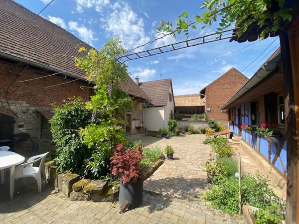 3%.COM Jolie maison alsacienne avec dépendance et jardin Hohfrankenheim (67270)