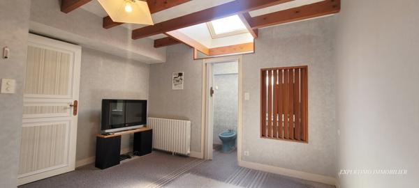 Jonzac (17500) PROPRIETE AVEC MAISON D'HABITATION ET ANCIENS BATIMENT D' EXPLOITATION