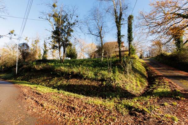 Orthez - Belle maison de campagne sur 1 hectare de terrain