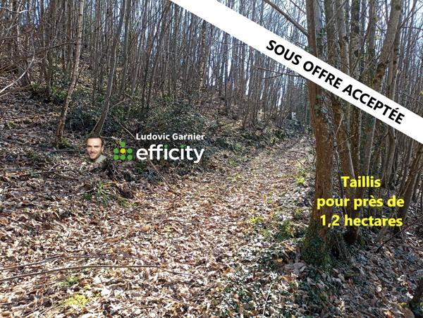 Terrain
        
        - 11960 m² 6 600 € *