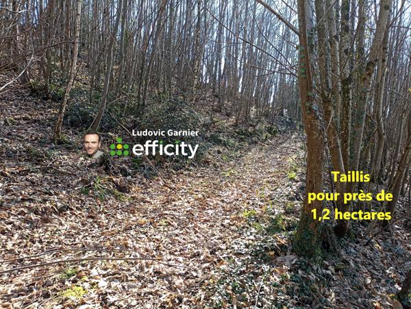 Terrain
        
        - 11960 m² 6 600 € *
