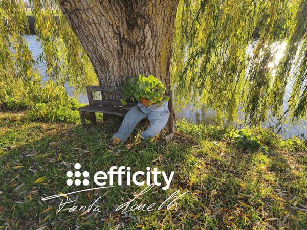 Maison 15 pièces - 320 m² Bien prestige