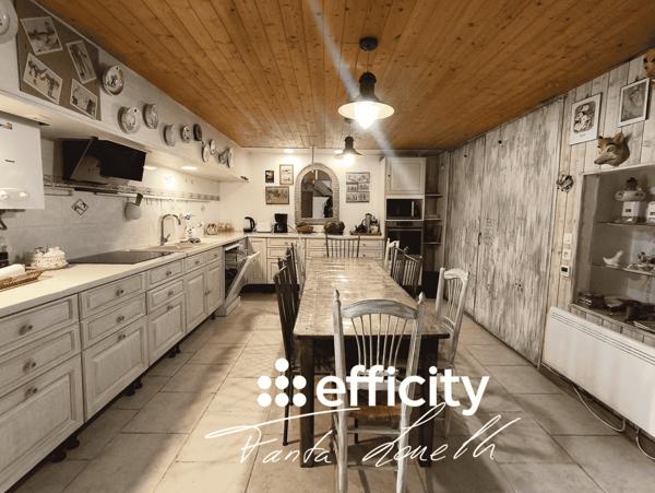 Maison 15 pièces - 320 m² Bien prestige