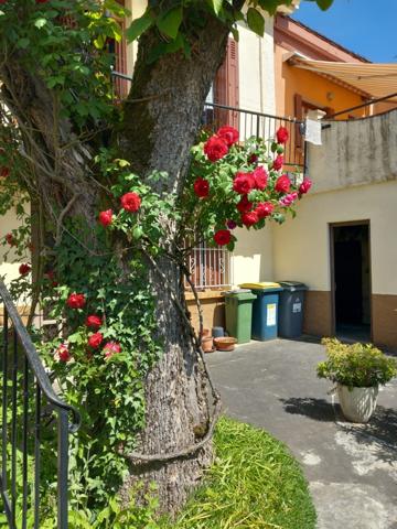 Le Chambon-Feugerolles (42500) Immeuble composé de 5 appartements + 1 dépôt avec terrain