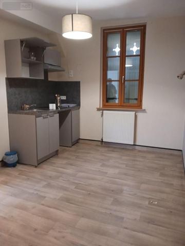 Murs commerciaux à vendre à Bar-sur-Seine dans l'Aube (10110), ref : 10063/1273